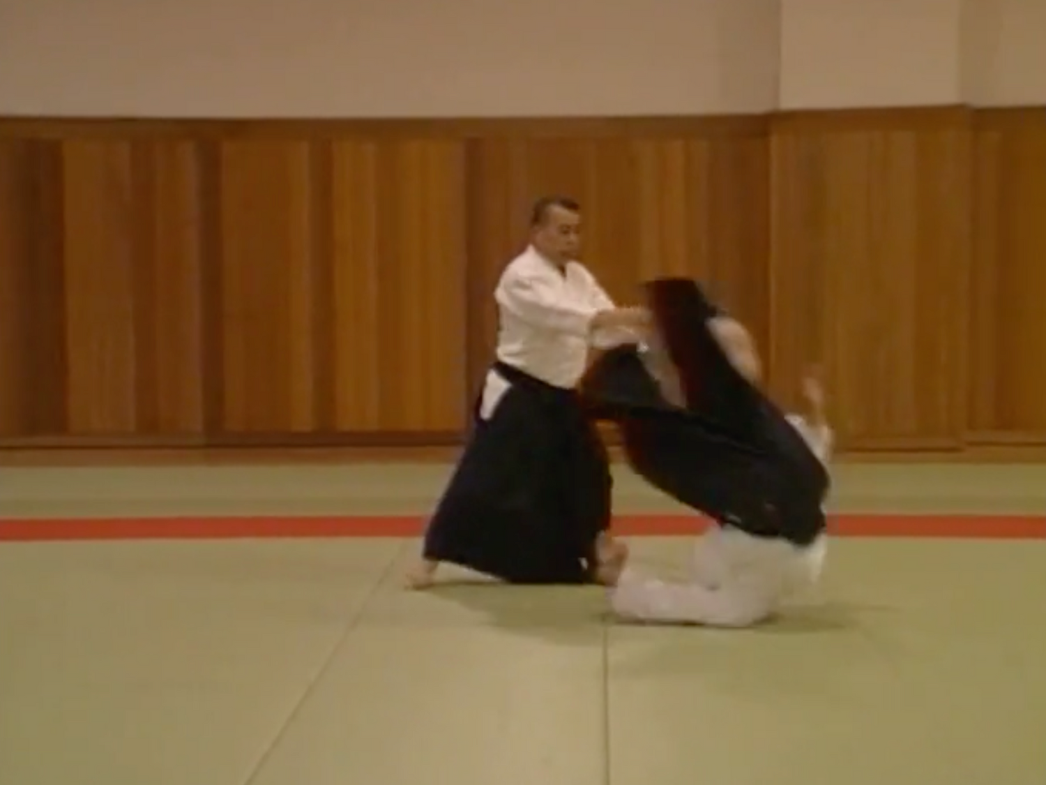 Shin Shin Toitsu Aikido 30th Anniversary DVD by Iwao Tamura (Preowned)