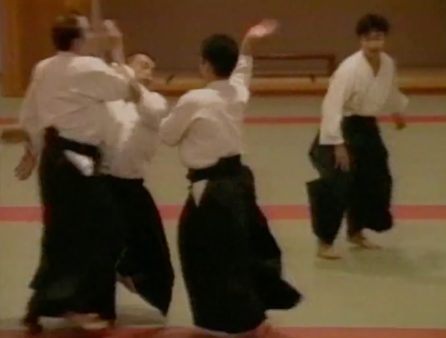 Shin Shin Toitsu Aikido 30th Anniversary DVD by Iwao Tamura (Preowned)