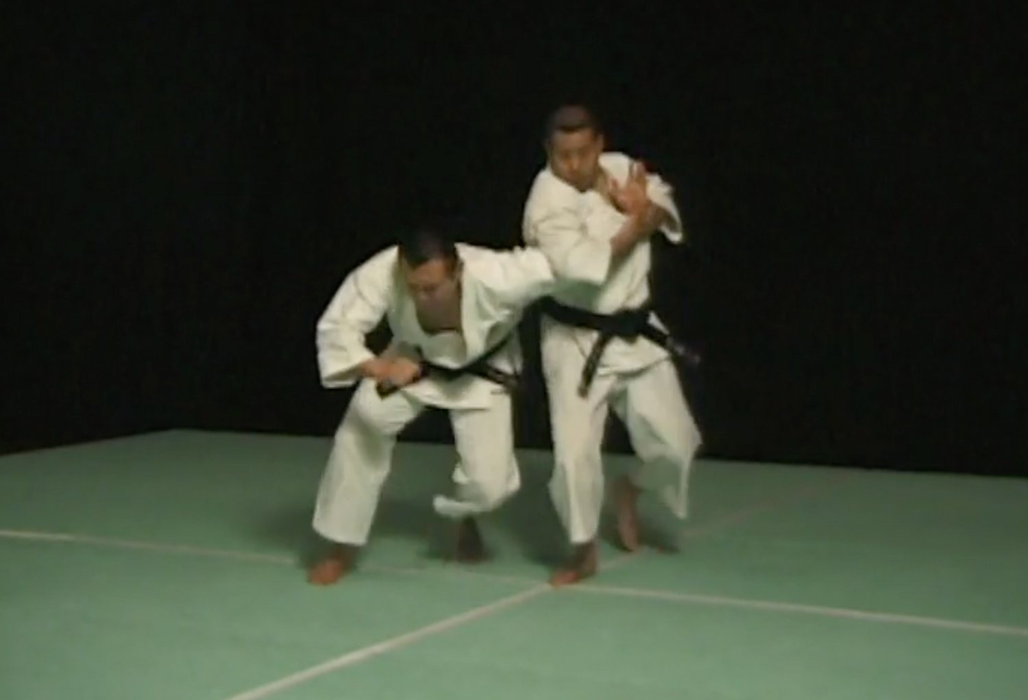 Shorinji Kempo: Ken Zen Ichinyo Special DVD (Preowned)