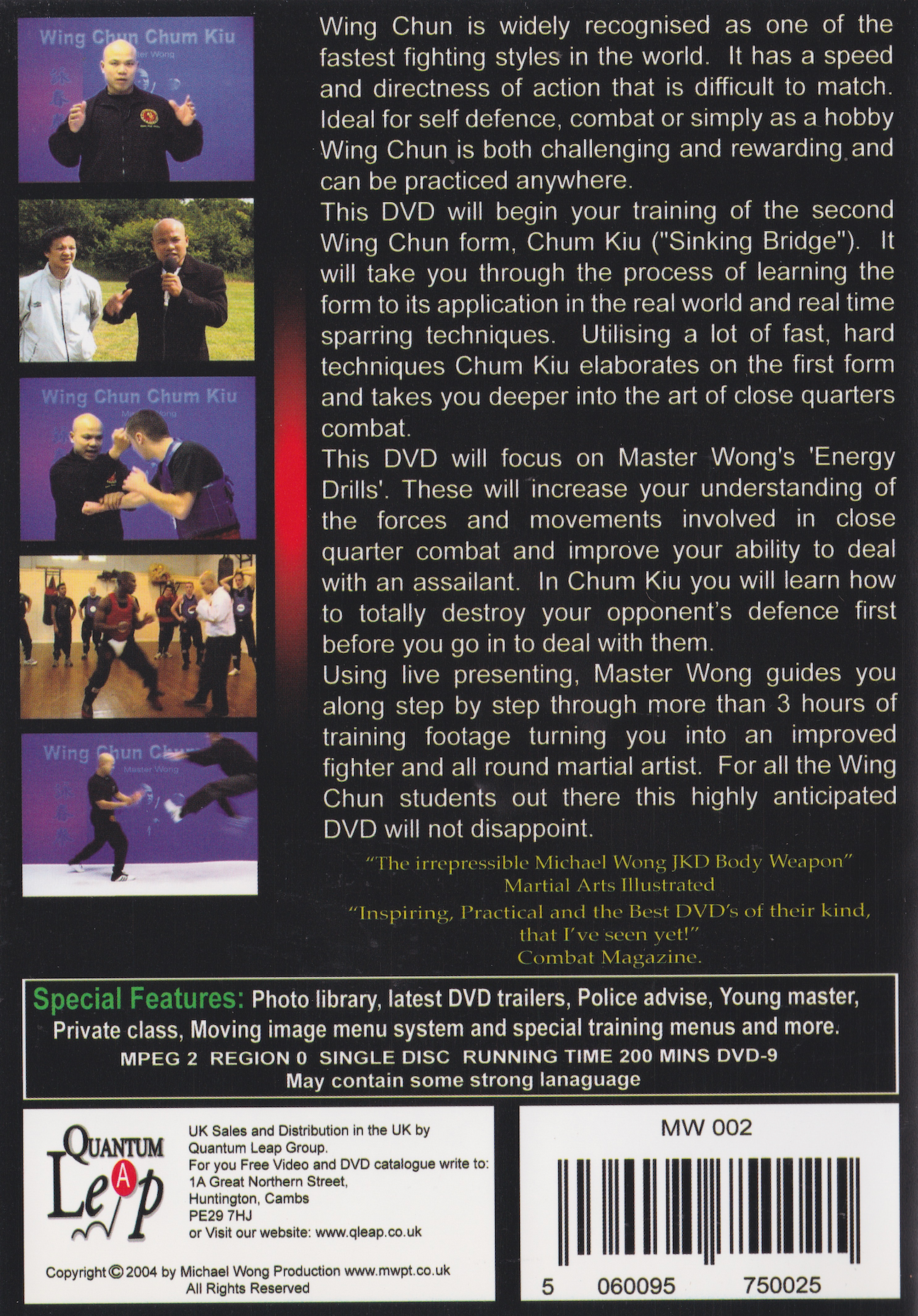 Wing Chun Chum Kiu Sinking Bridge DVD by Michael Wong (Preowned)