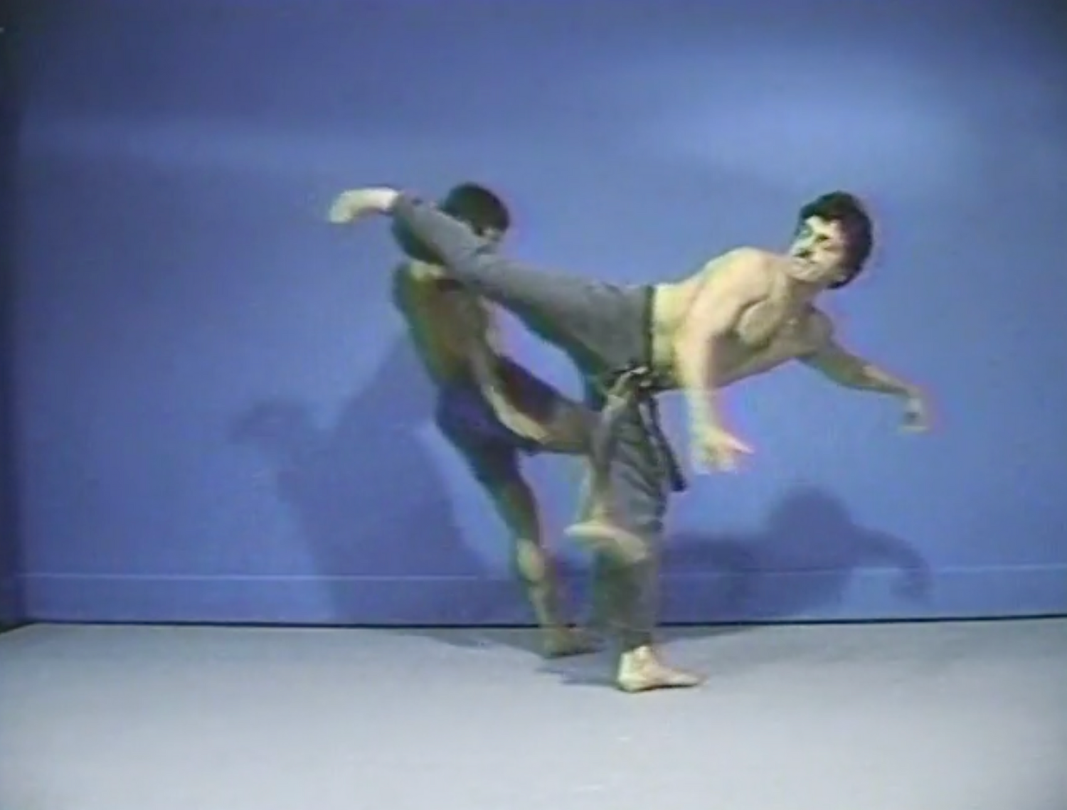 Muay Thai Basics & Advanced 2 DVD Set by Surachai Sirisute