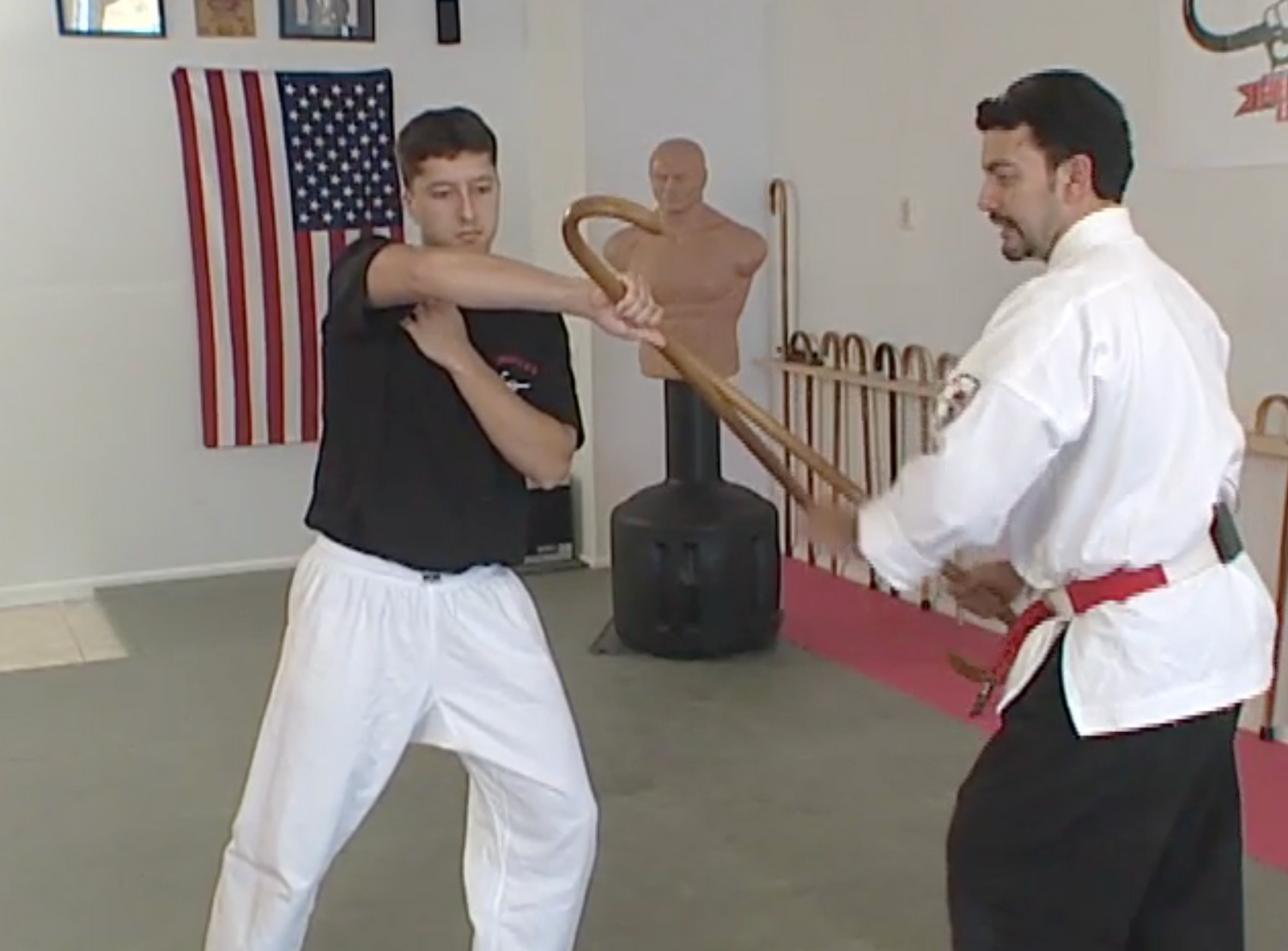 Cane Self Defense 6 Vol Series by Joe Robaina (On Demand)