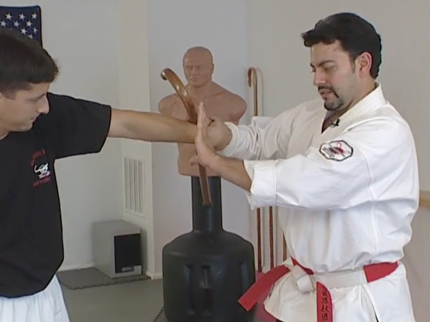 Cane Self Defense 6 Vol Series by Joe Robaina (On Demand)