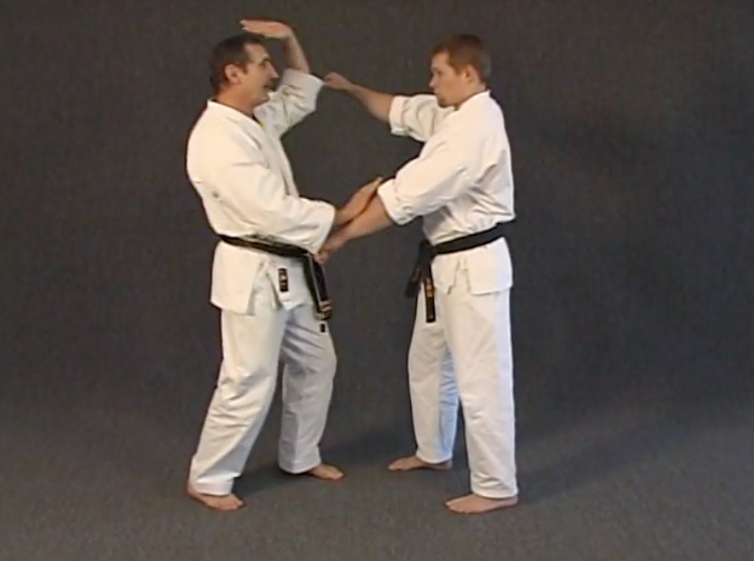 Uechi Ryu Karate Vol 1 Overview DVD by Ihor Rymaruk