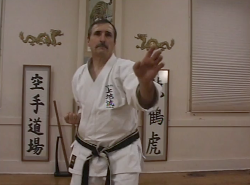 Uechi Ryu Karate Vol 1 Overview DVD by Ihor Rymaruk