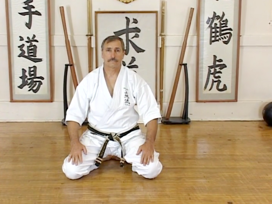 Uechi Ryu Karate Vol 2 Building Blocks DVD by Ihor Rymaruk