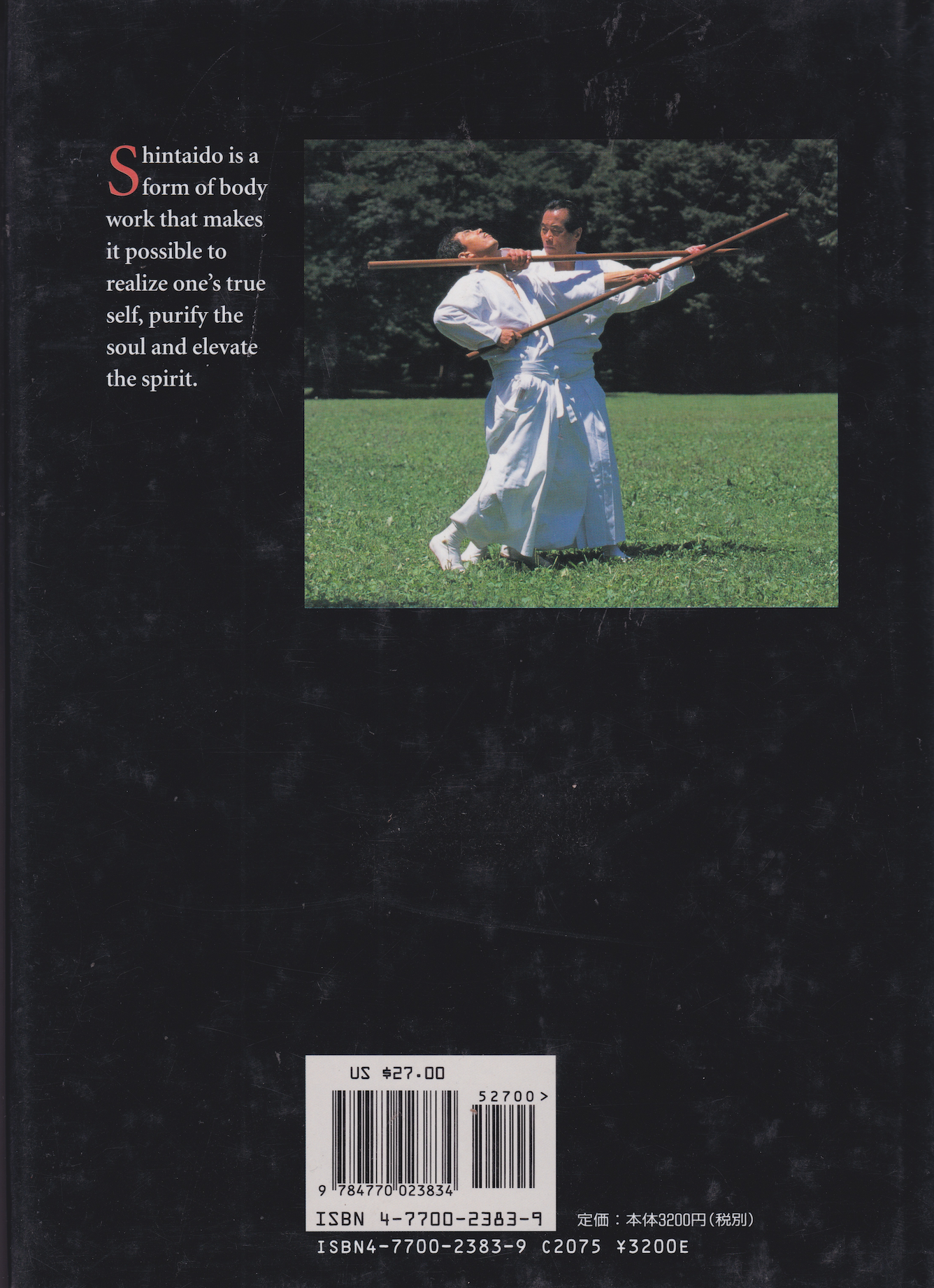 Total Stick Fighting: 新体道棒術の本 青木裕之 (中古) 