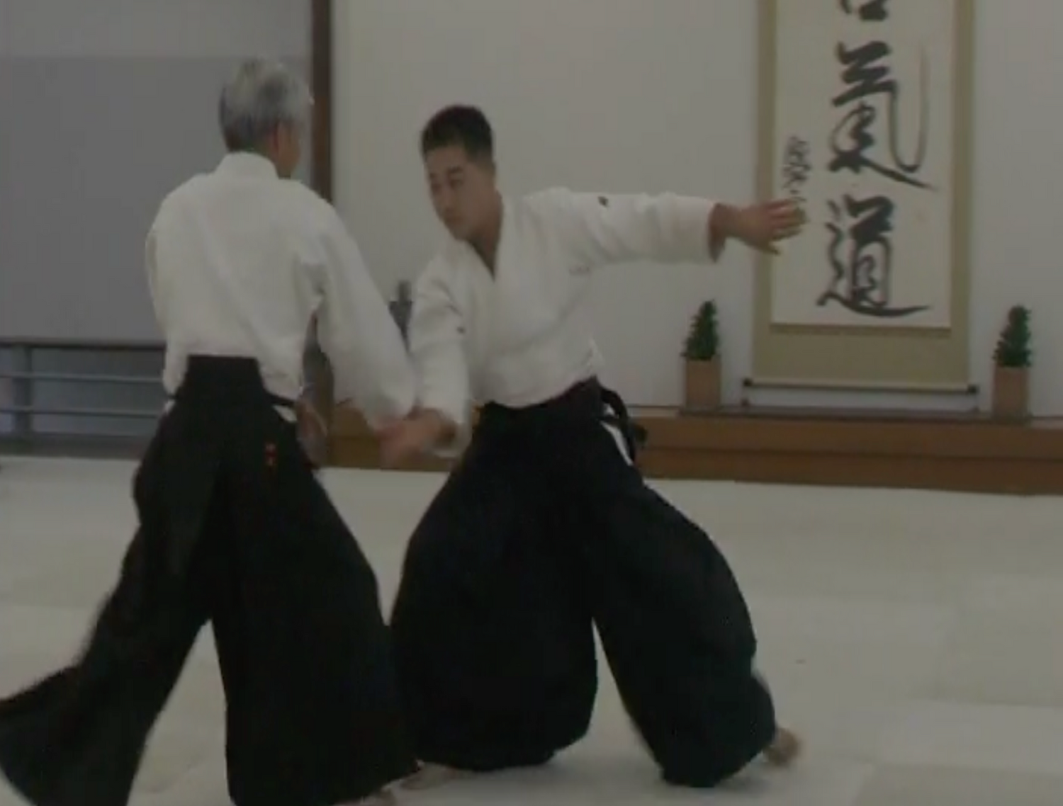 The Empty Mind Martial Arts Documentary DVD (Preowned)