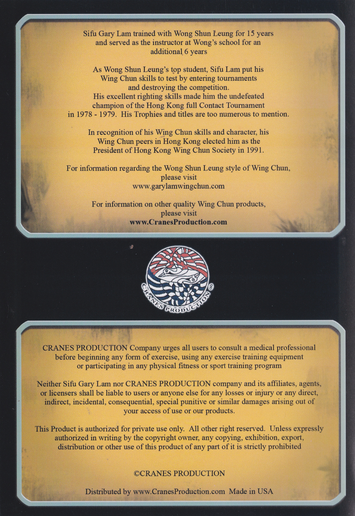 Fighting Strategy Seminar DVD by Gary Lam