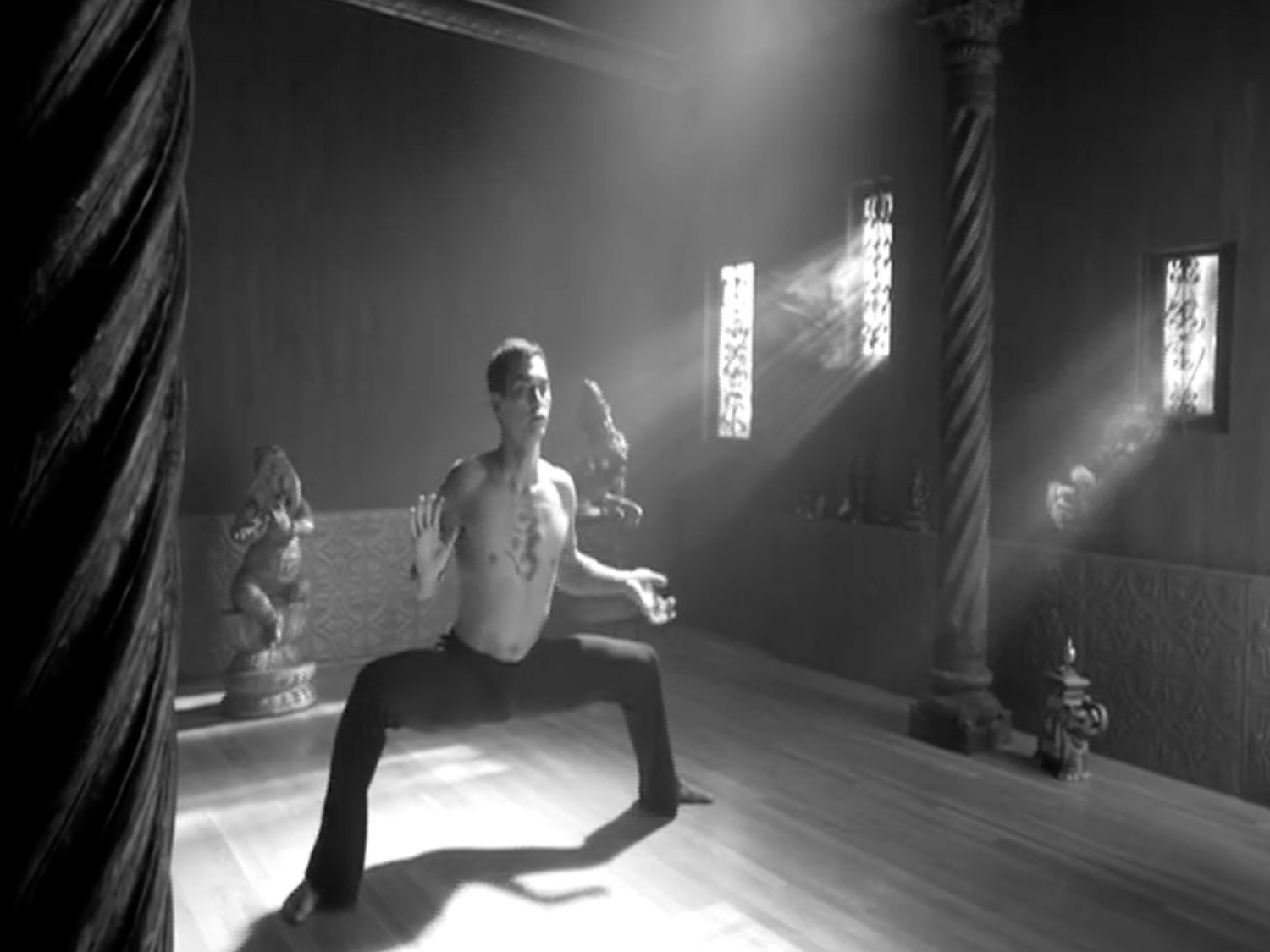 Yogic Arts Awakening Level DVD by Duncan Wong