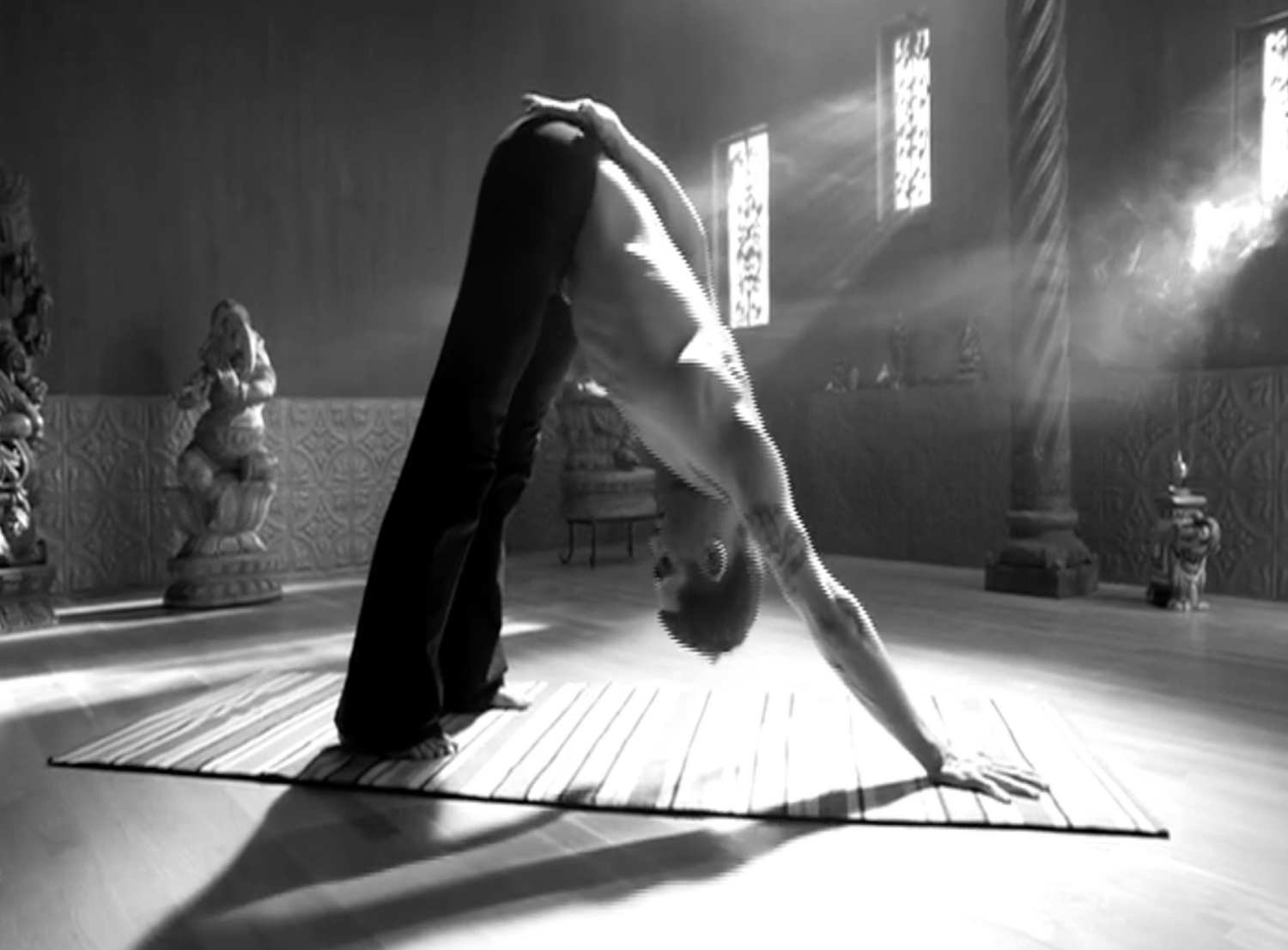 Yogic Arts Source Power DVD by Duncan Wong