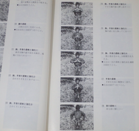 Modern Ninjutsu 5 Book Course by Gendai Ninpodo Honbu (Preowned)