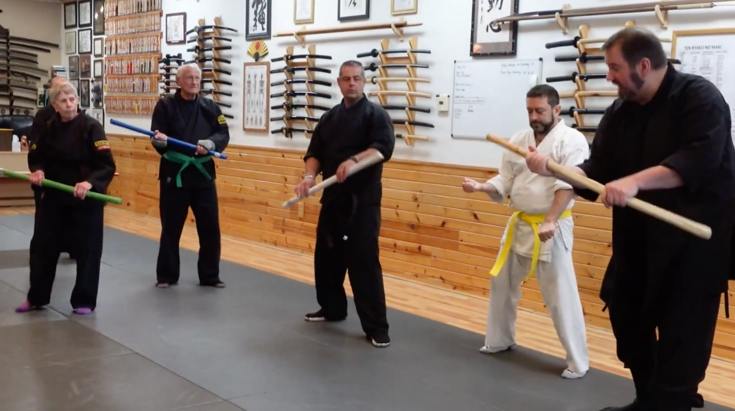 Advanced Hanbojutsu DVD by Todd Norcross