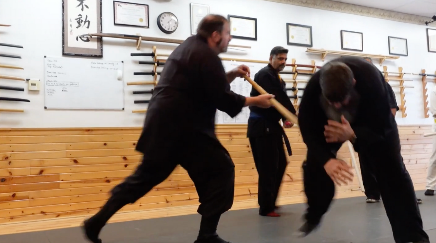 Advanced Hanbojutsu DVD by Todd Norcross