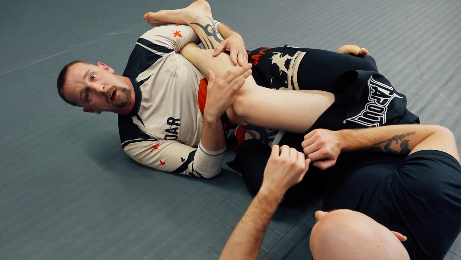 The 411 Leglock Instructional DVD with Alan Shade
