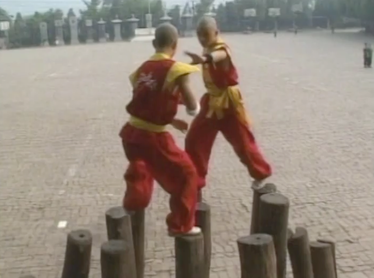 Martial Arts Way of the Warrior & Kung Fu Fighter Documentary DVD (Preowned)