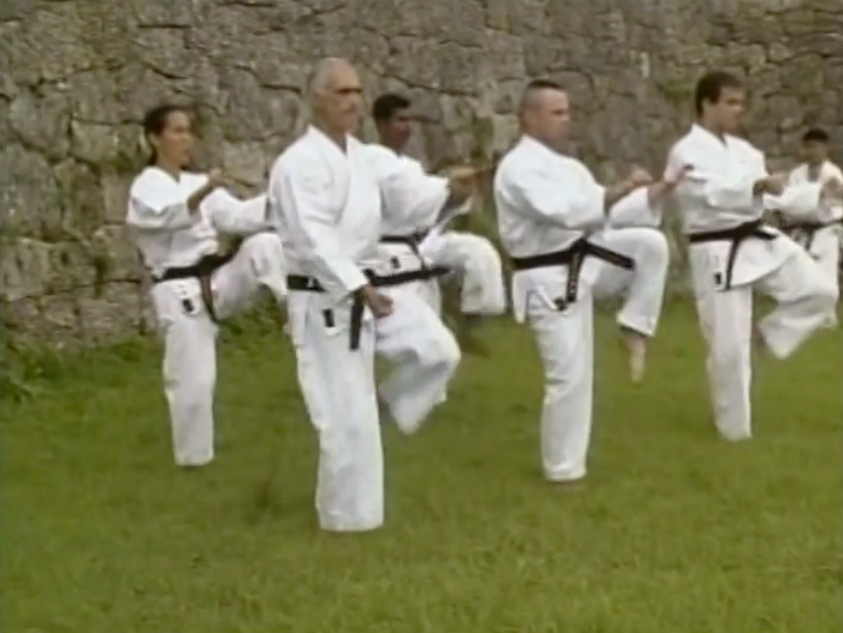 Martial Arts Way of the Warrior & Kung Fu Fighter Documentary DVD (Preowned)