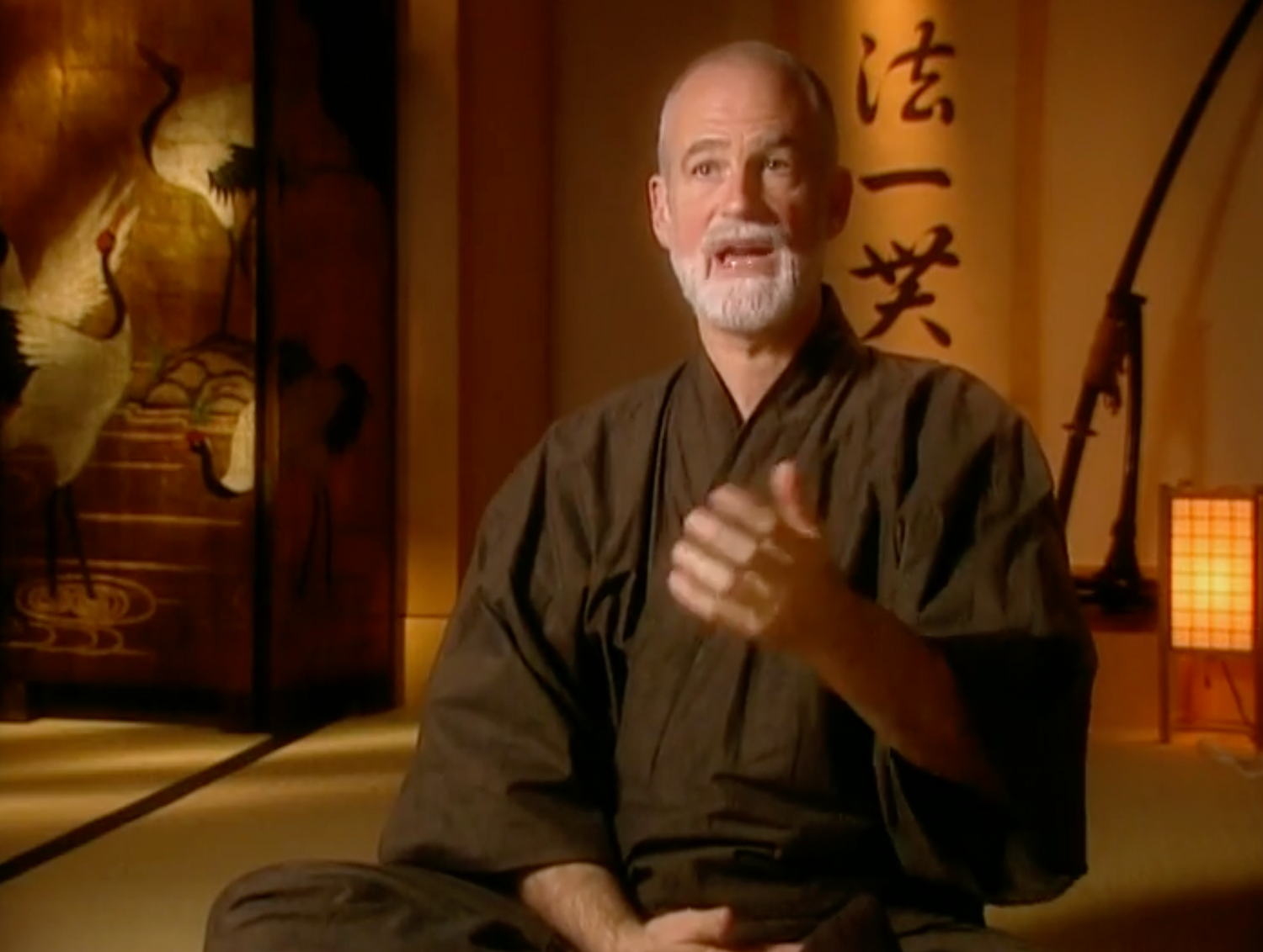 Unsolved History: Ninjas Documentary DVD (Preowned)