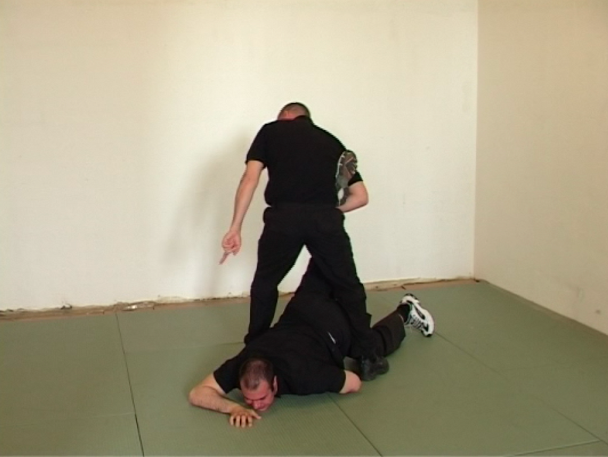 Pressure Point Defensive Tactics (PPDT) 5 DVD Set by Russell Stutely (Preowned) (PAL)