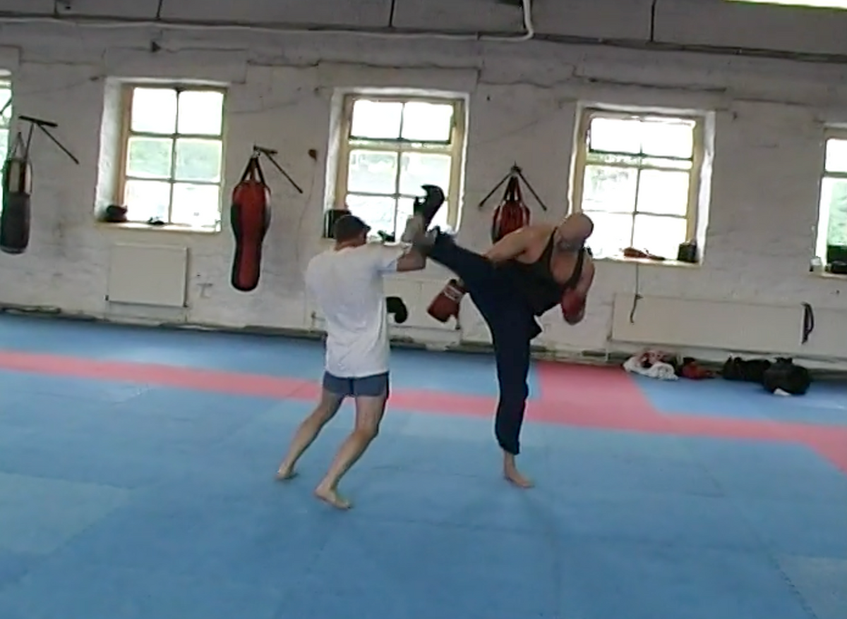 Peter Consterdine's Training Day: A Martial Masterclass DVD (Preowned) (PAL)