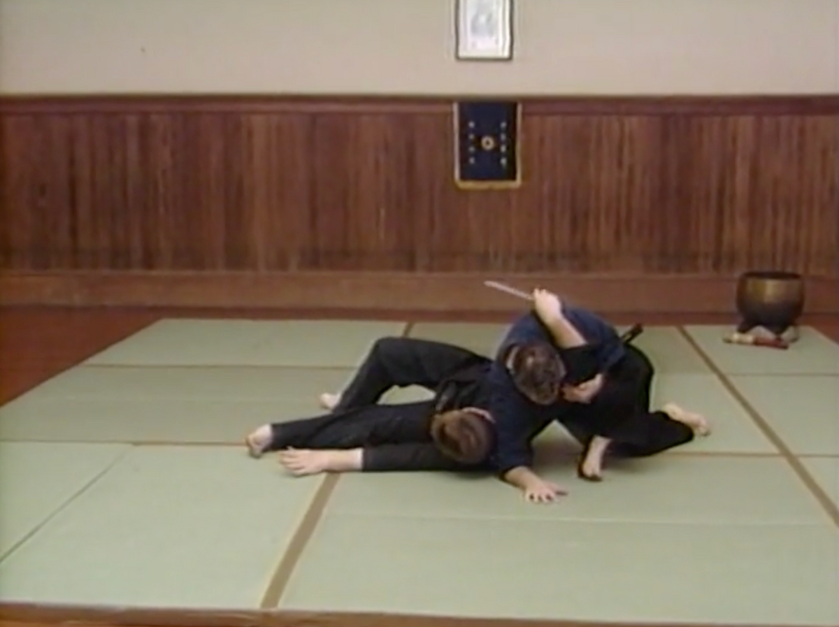 Explosive Aikijujutsu DVD with Roy Goldberg, Miguel Ibarra & Bernie Lau (Preowned)