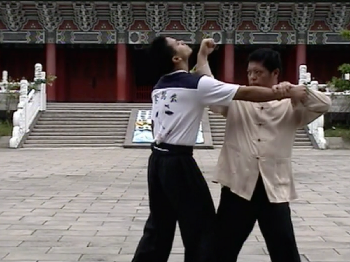 Feeding White Crane Kung Fu by Liu Chang-Yi (On Demand)