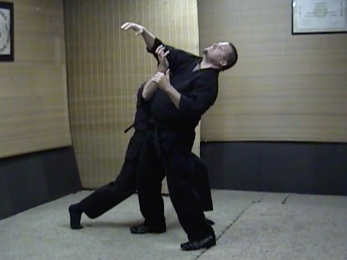 Real Kung Fu San Soo 75 DVD Set by Mark Colby (Preowned)