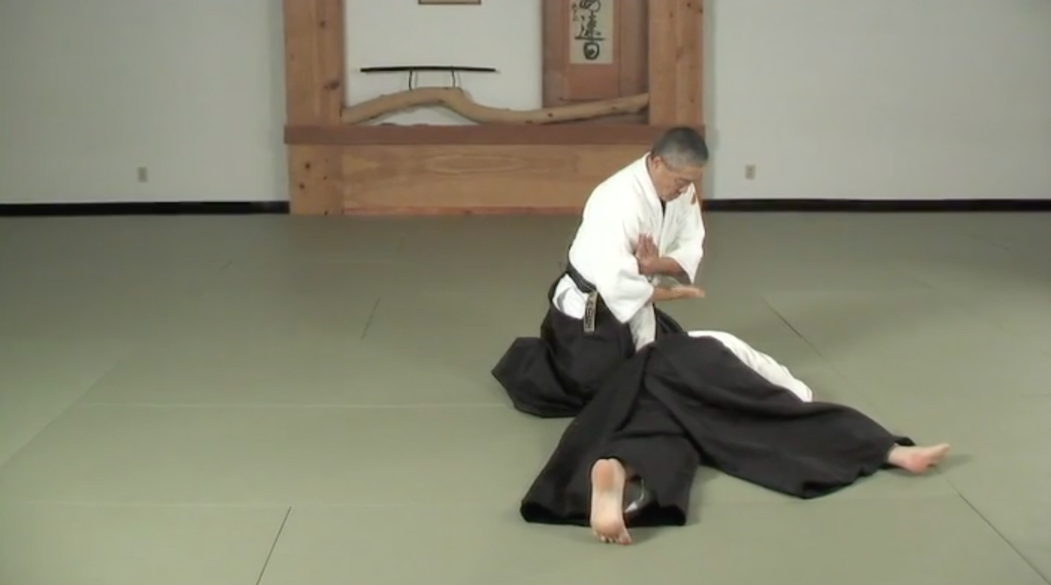 Aikido to BJJ with Derek Nakagawa & Marcio Feitosa (On Demand)