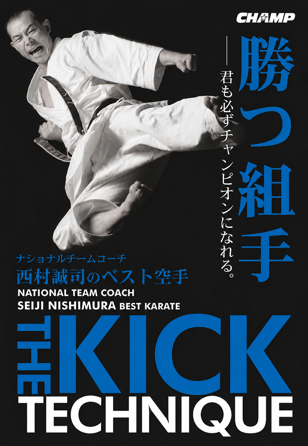 Seiji Nishimura Best Karate: Kick Techniques DVD