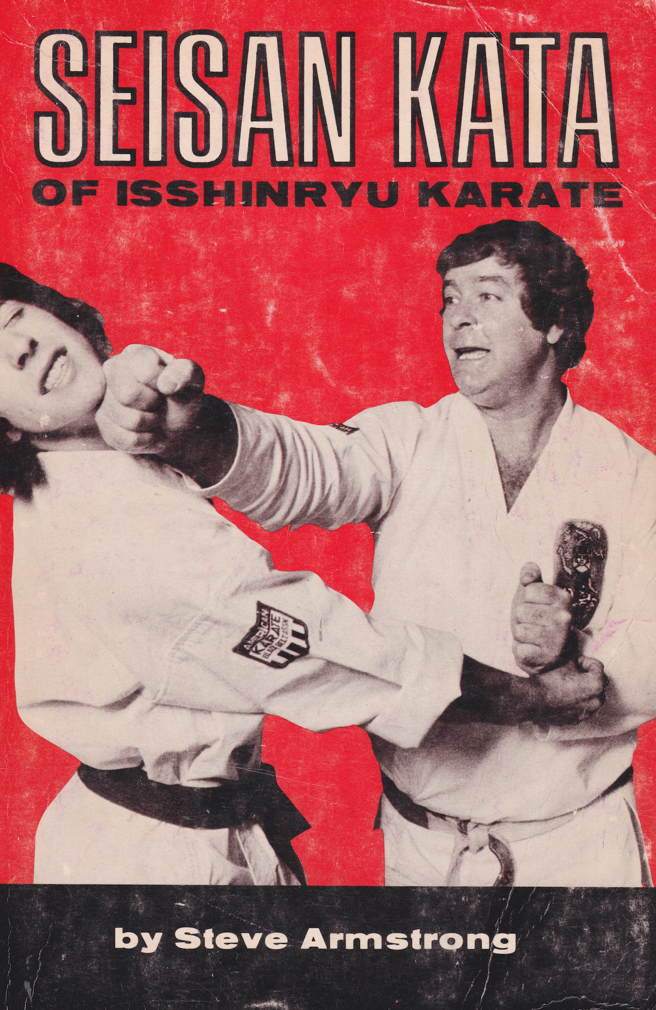 Isshinryu Fist Seisan Kata of Isshin Ryu Book by Steve Armstrong (Preowned ...