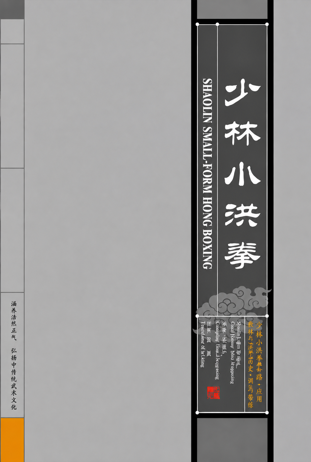 Shaolin Kung Fu Small-form Hong Boxing Book & DVD by Mao Jingguang (Preowned)