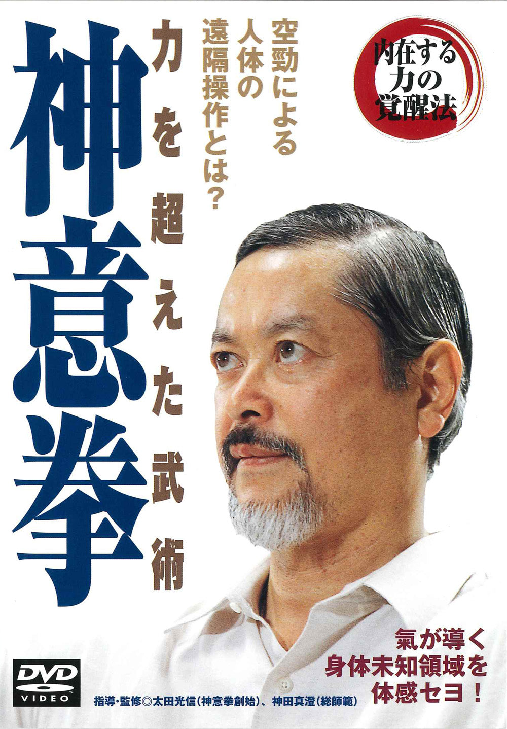 Shen Yiquan DVD by Mitsunobu Ota