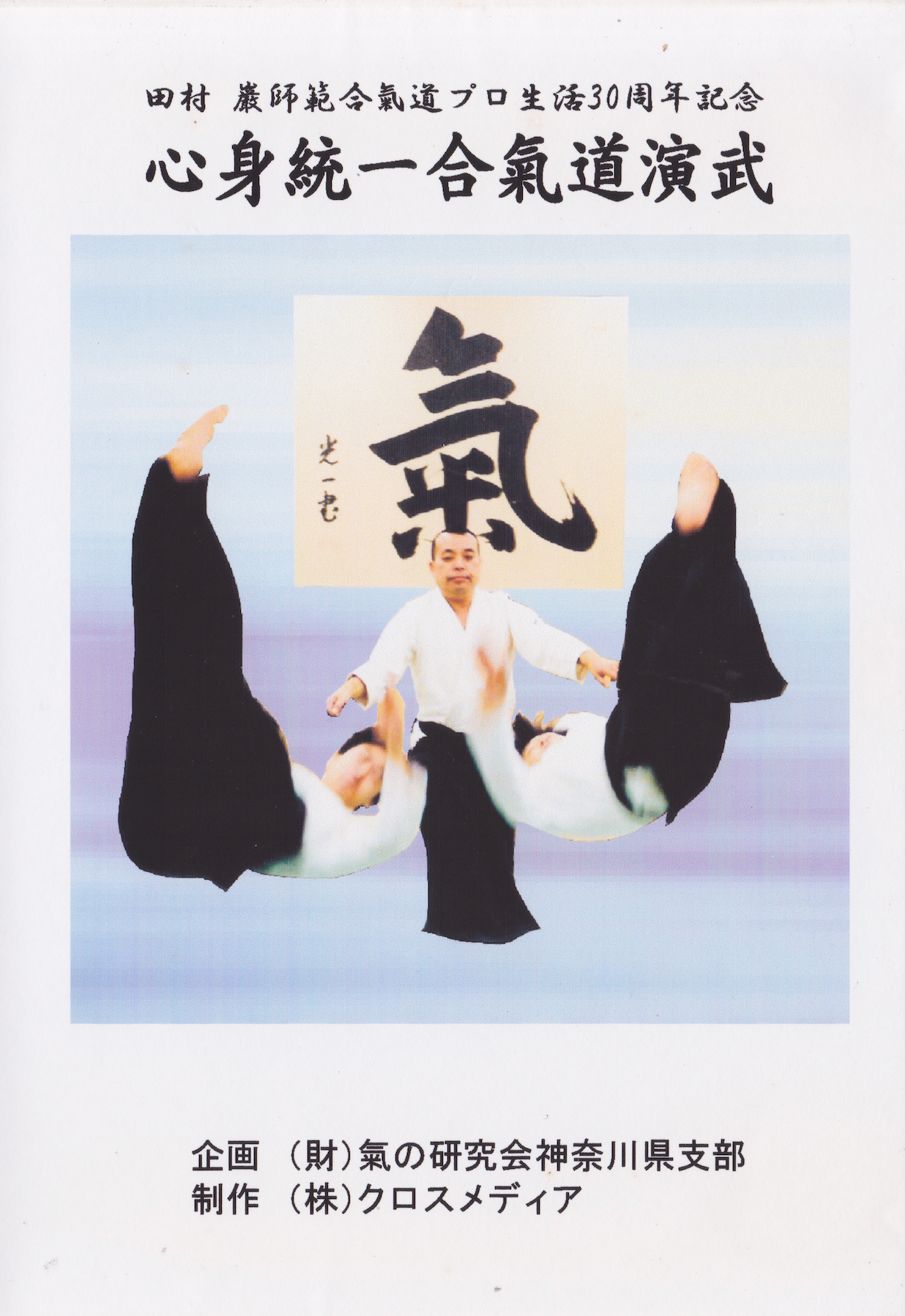 Shin Shin Toitsu Aikido 30th Anniversary DVD by Iwao Tamura (Preowned)