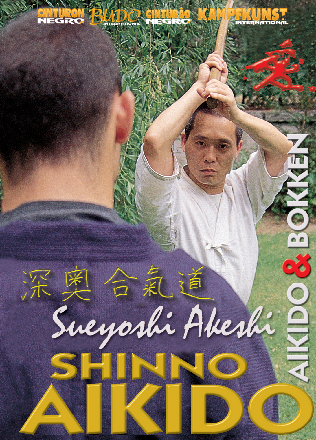Shinno Aikido & Bokken DVD with Akeshi Sueyoshi