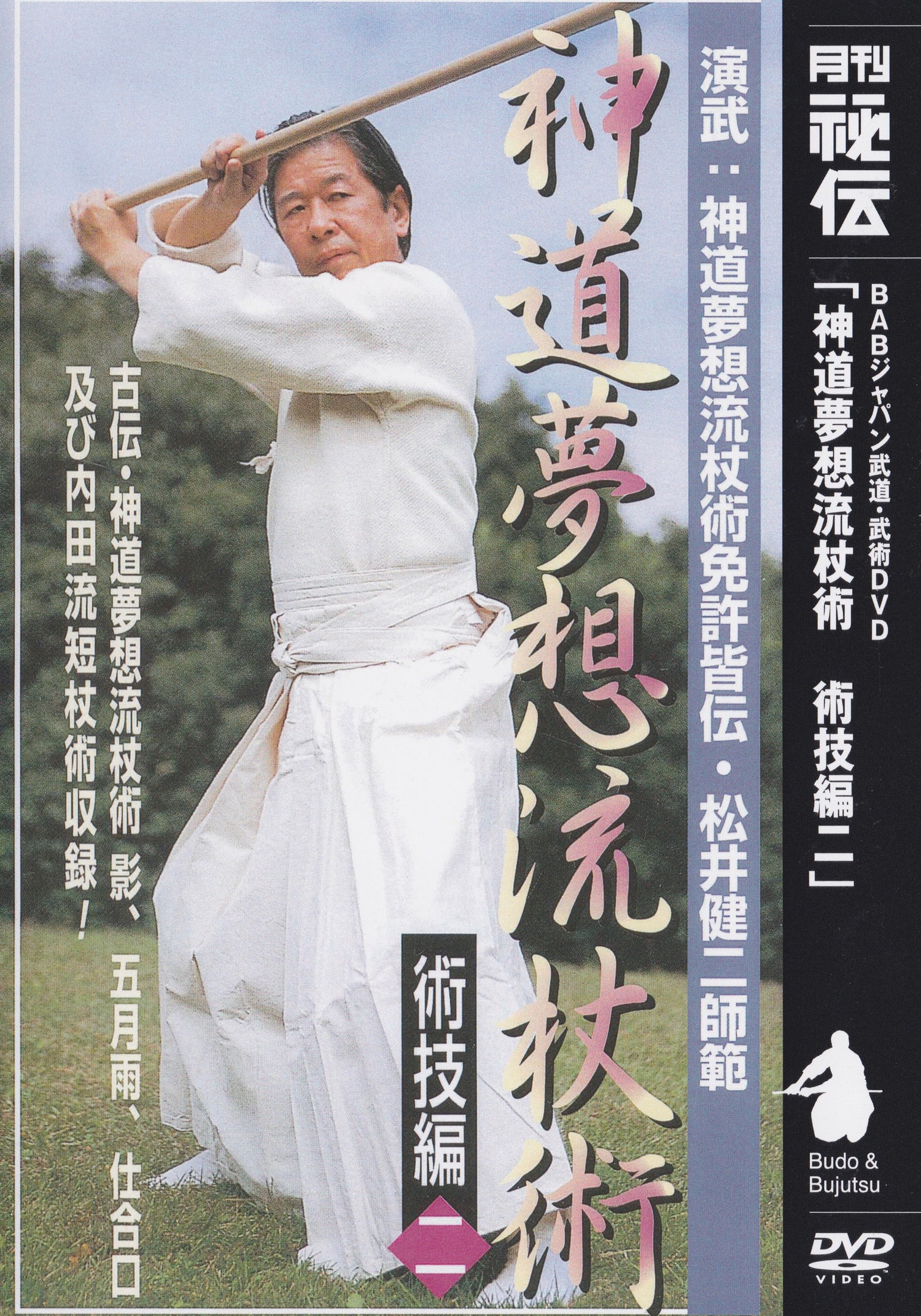 Shinto Muso Ryu: Habilidades técnicas Vol 3 de Kenji Matsui DVD