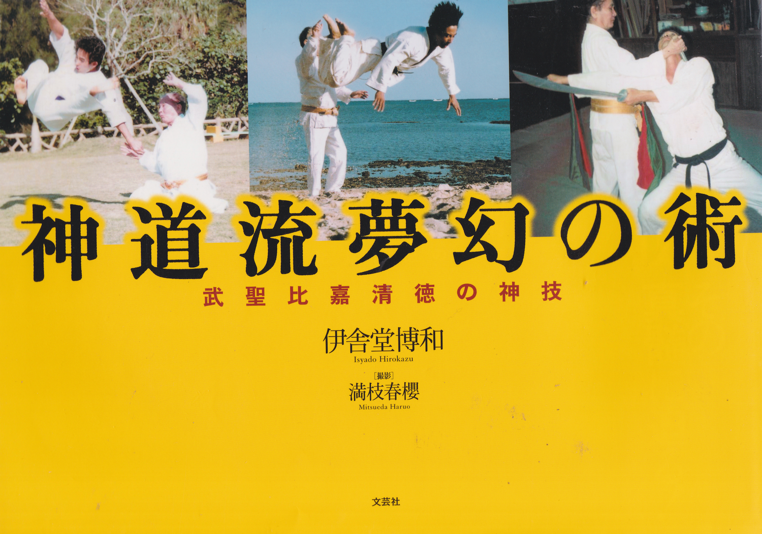 Shinto Ryu Mugen no Jutsu: The Divine Techniques of the Martial Sage Seidoku Higa Book by Hirokazu Isyado & Haruo Mitsueda (Preowned)