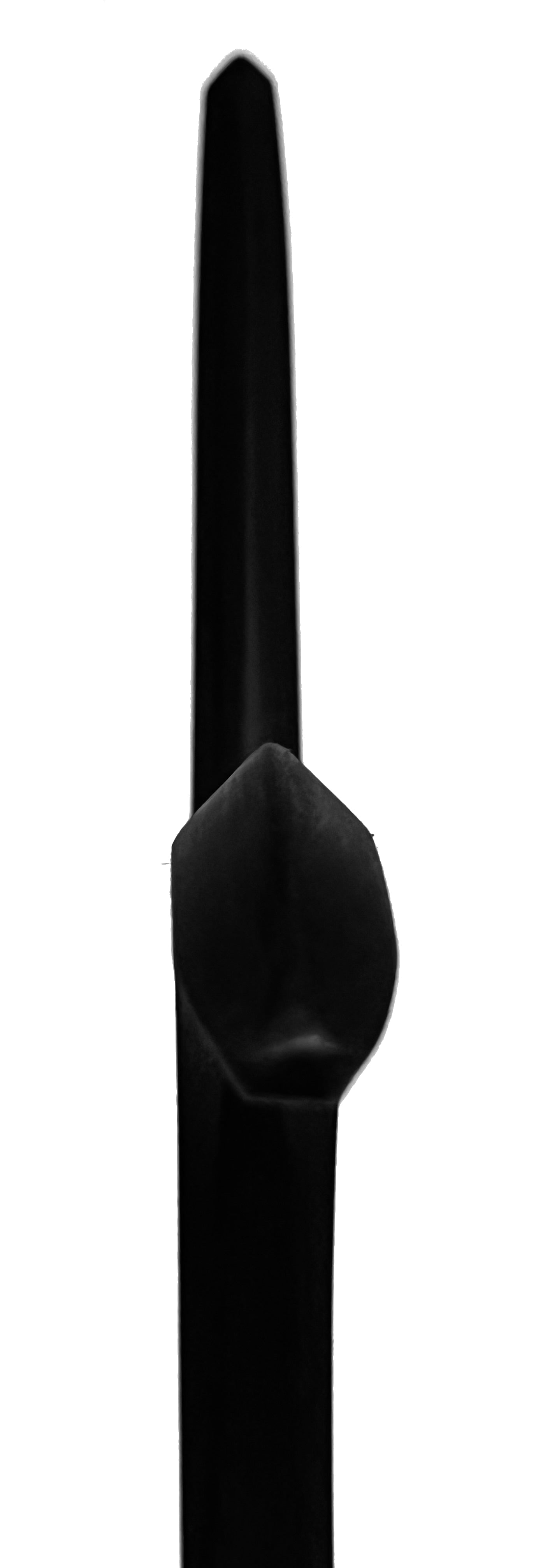 Ninja Training Kyoketsu Shoge V4