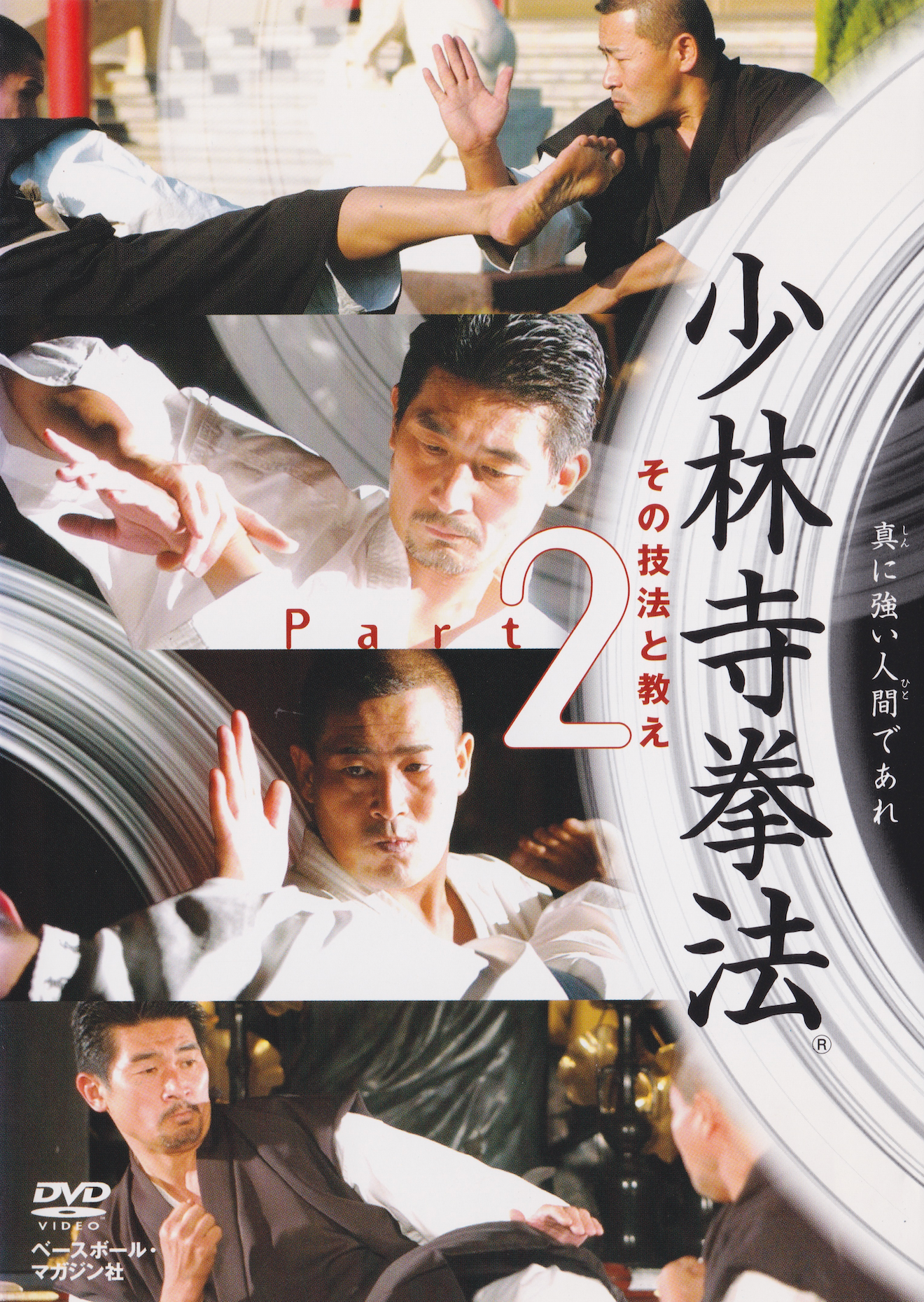 Shorinji Kempo Part 2: Techniques and Teachings DVD (Region 2)(Preowned)