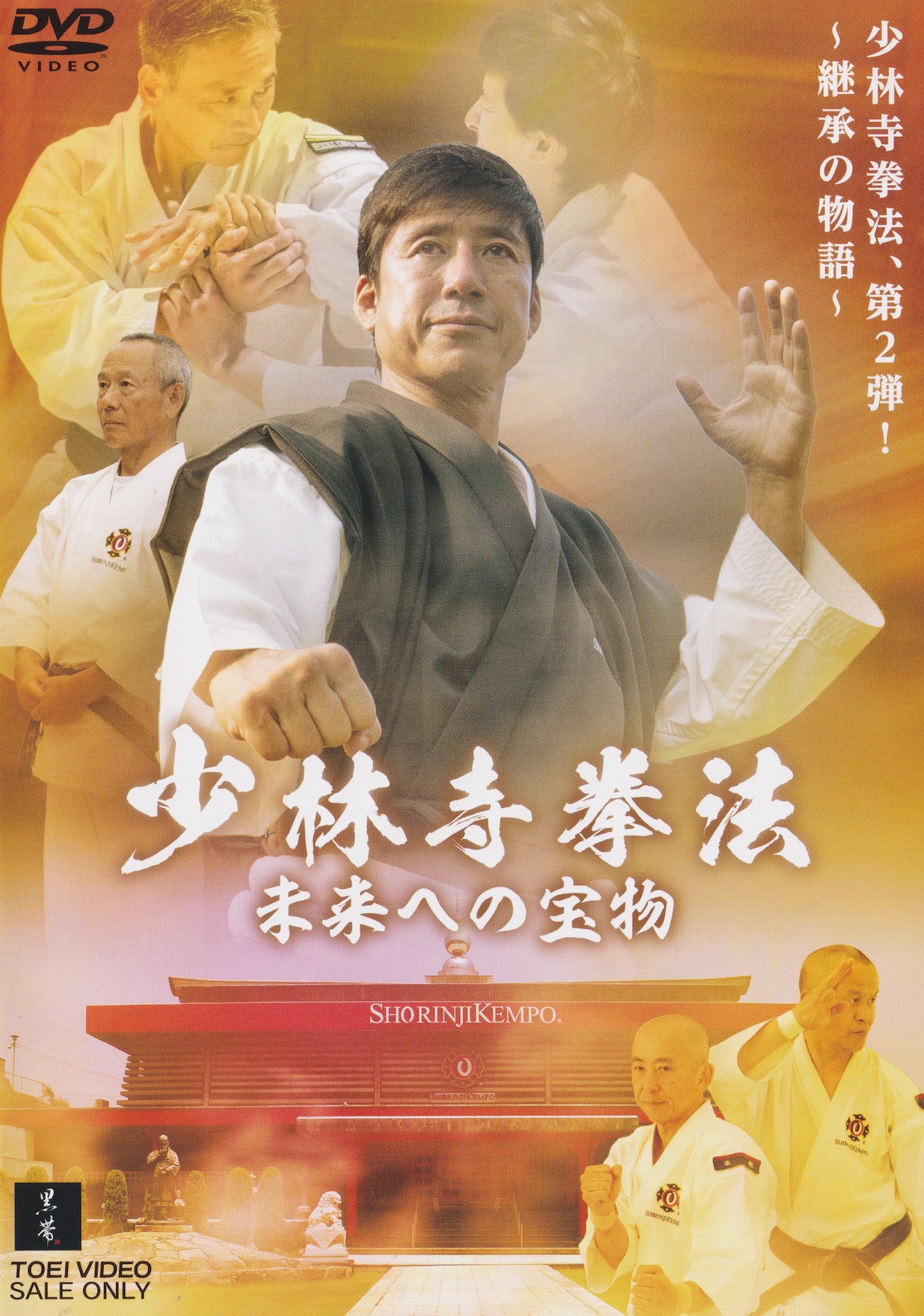 Shorinji Kempo: Treasures for the Future 2 DVD Set with Tatsuya Naka (Preowned)