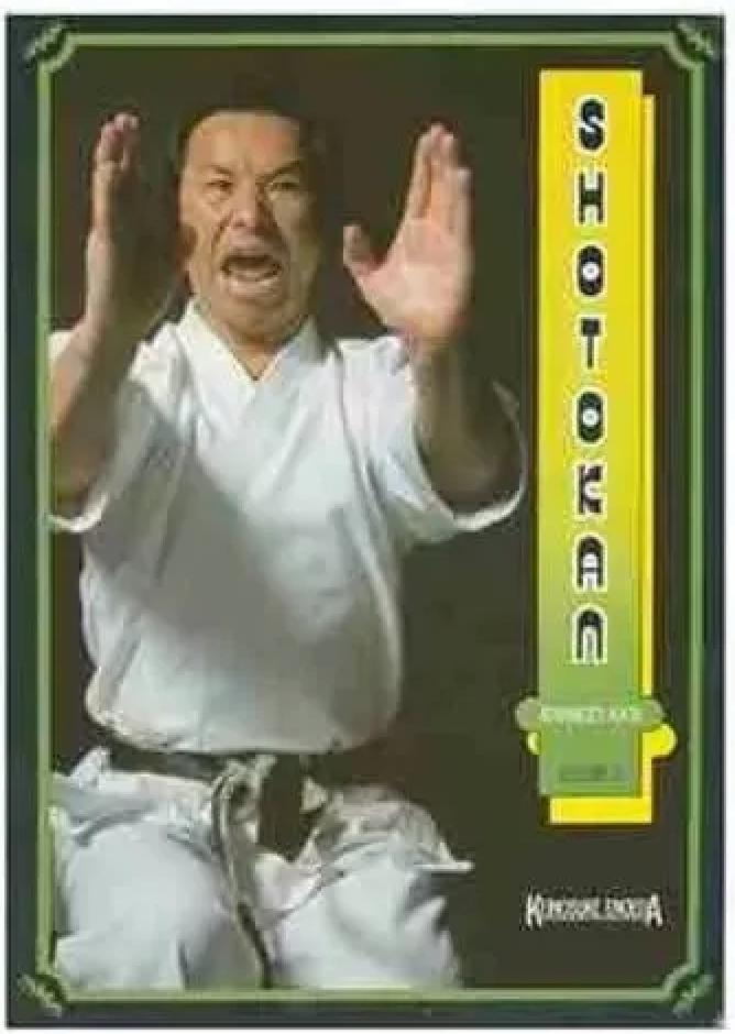 Shotokan Advanced Kata Book 3 by Keinosuke Enoeda (Preowned)