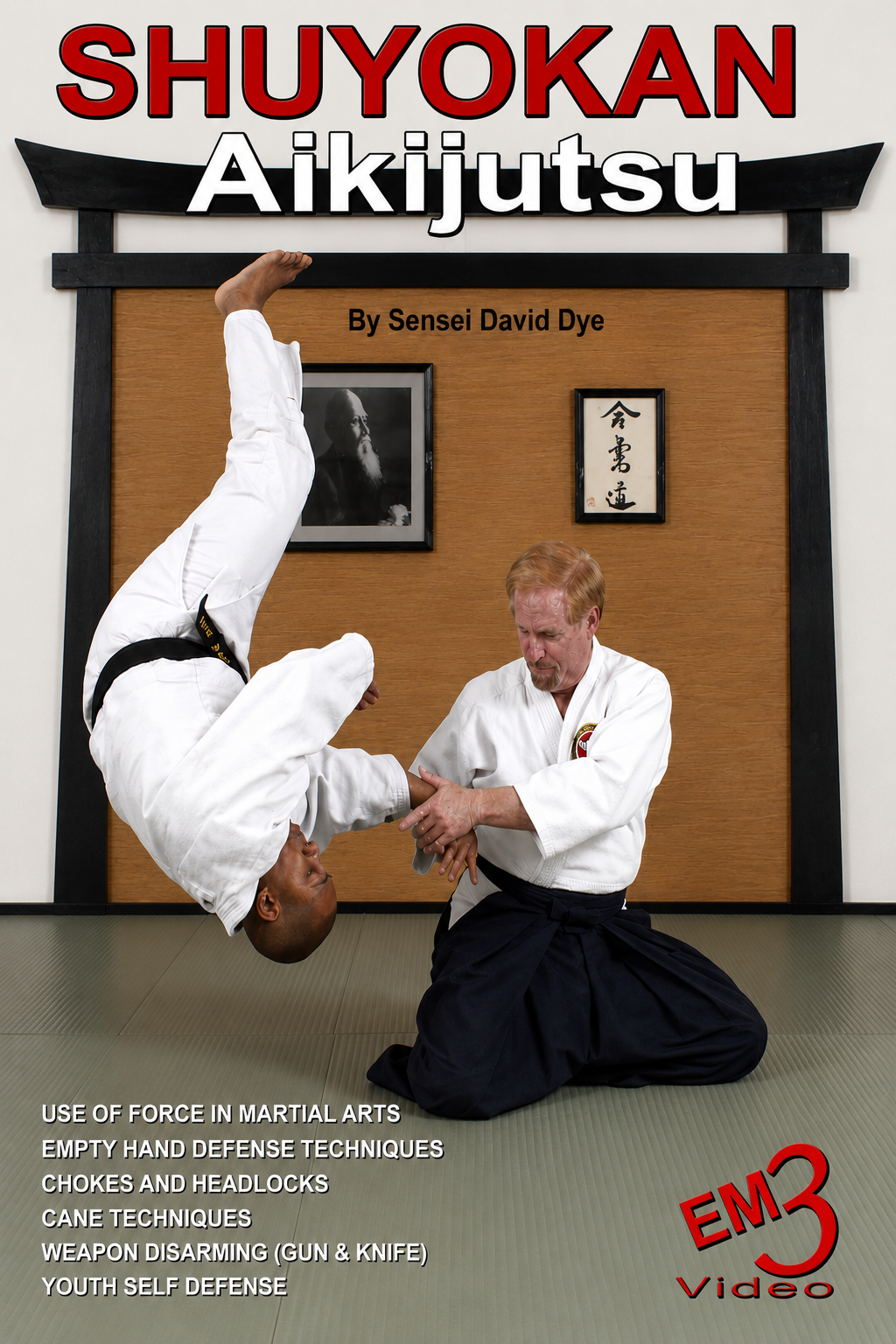 Shuyokan Aikijutsu DVD by David Dye