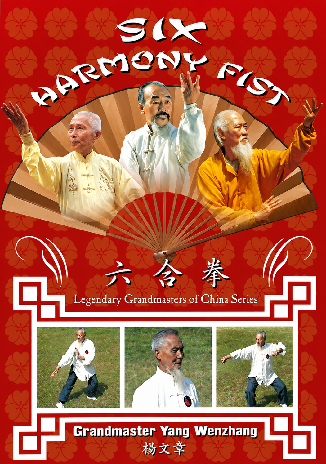 Six-Harmony Fist DVD by Yang Wenzhang