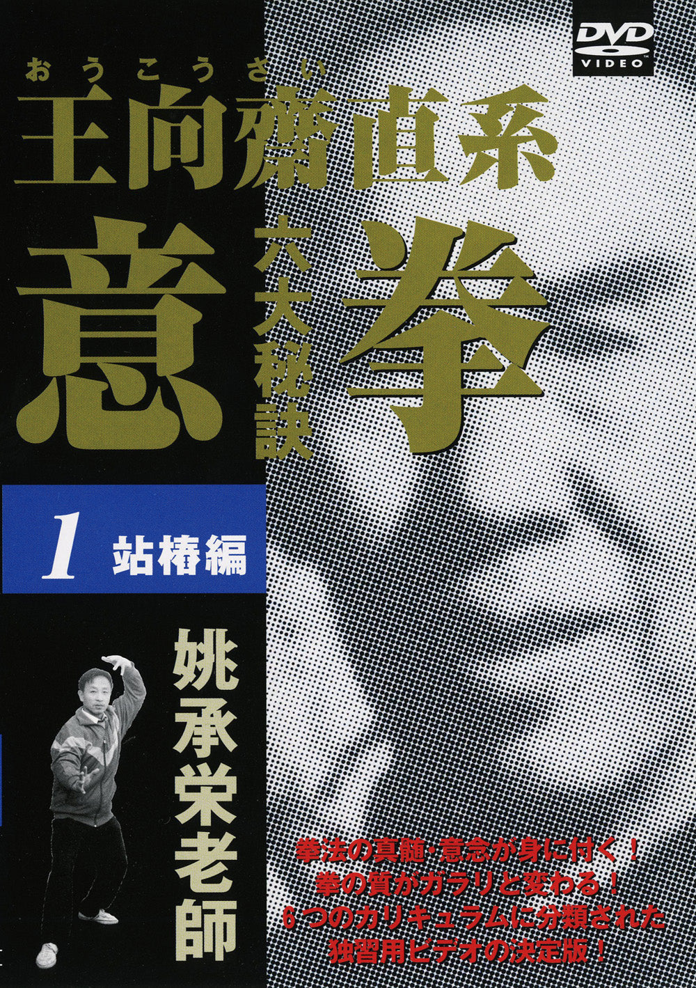Six Great Secrets of Yiquan DVD 1 by Tao Shouei