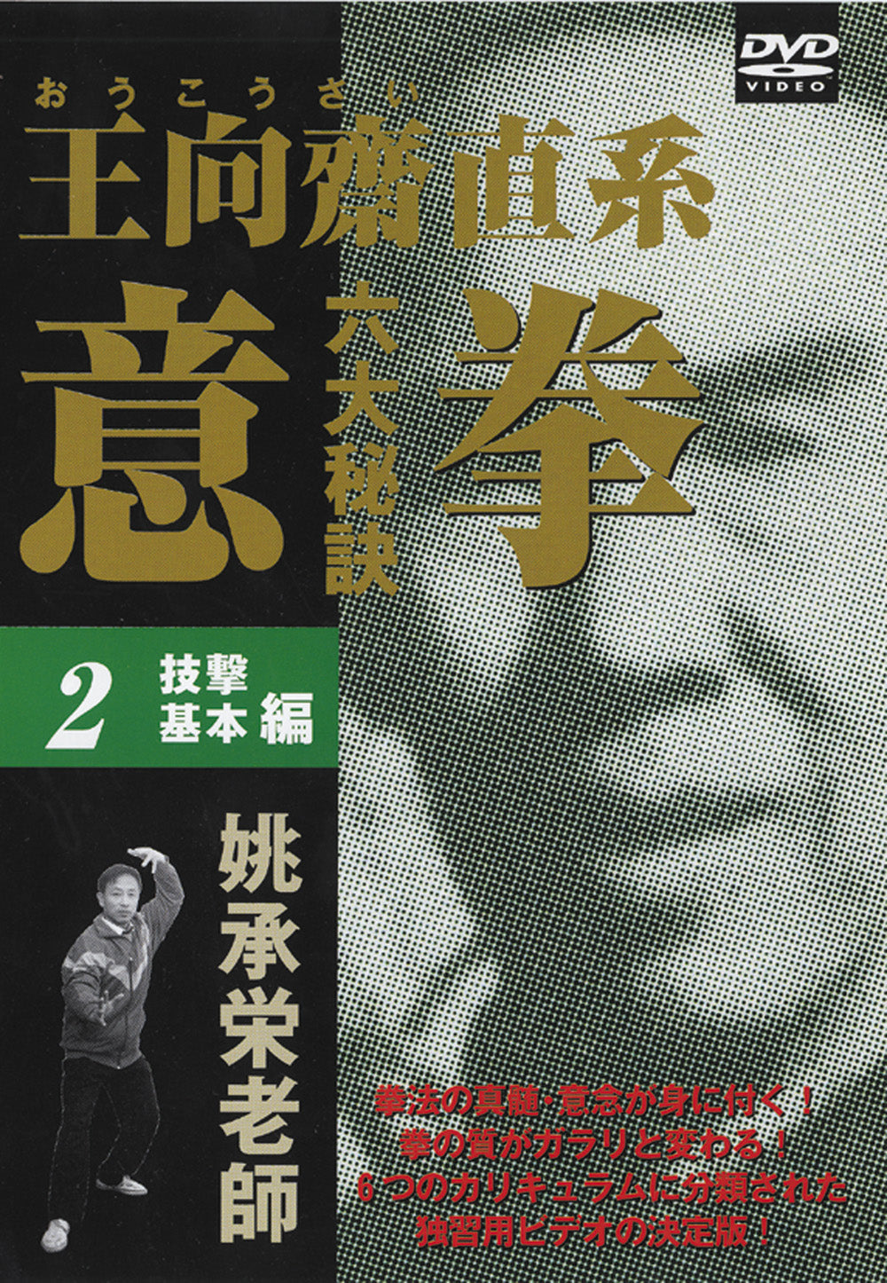 Six Great Secrets of Yiquan DVD 2 by Tao Shouei