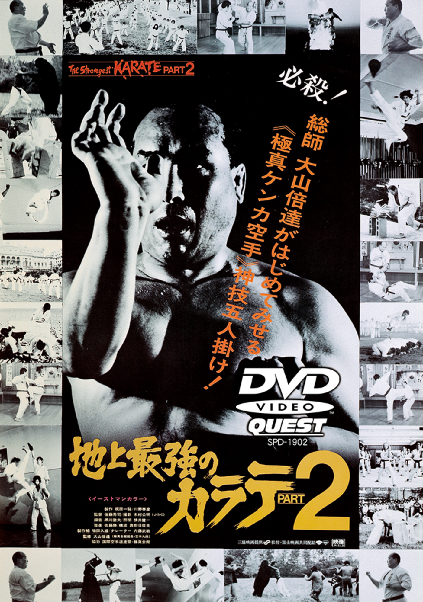 Strongest Karate Kyokushin Documentary Vol 2 DVD (Region 2)