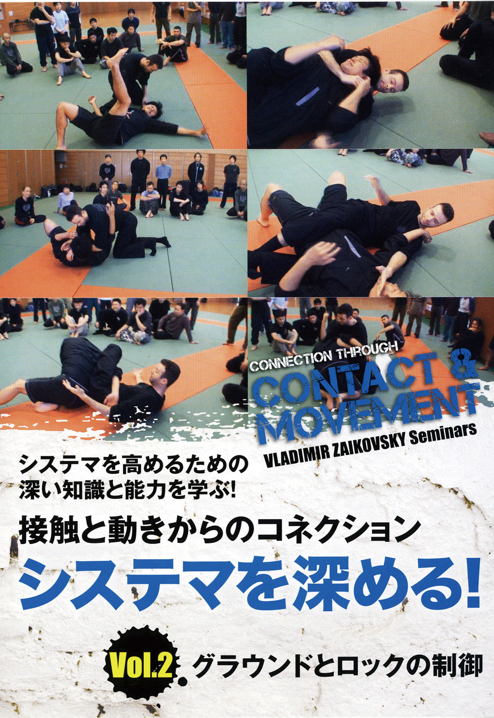 Systema: Contact & Movement DVD Vol 2 by Vladimir Zaikovsky