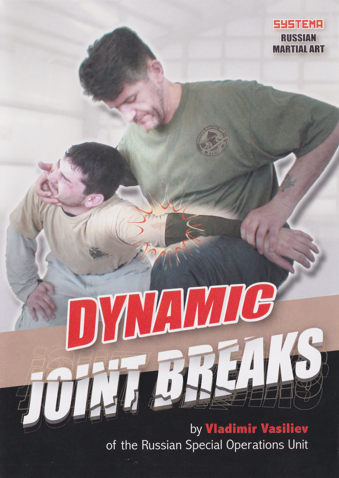 Systema: Dynamic Joint Breaks DVD with Vladimir Vasiliev – Budovideos Inc