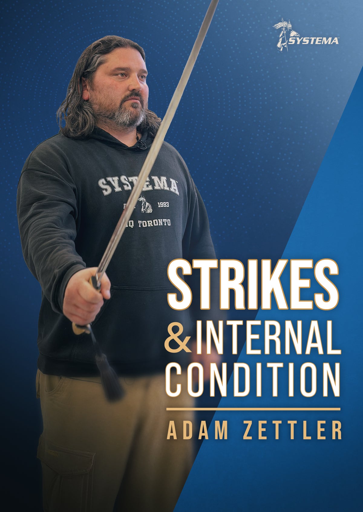 Systema: Strikes & Internal Condition DVD by Adam Zettler