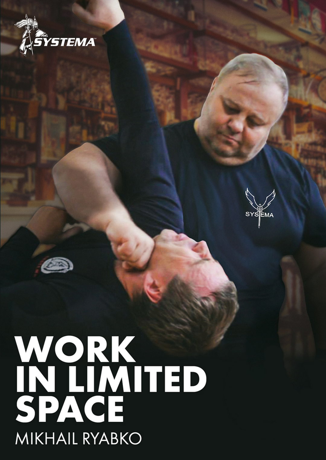 Systema: Work in Limited Space DVD by Mikhail Ryabko – Budovideos Inc