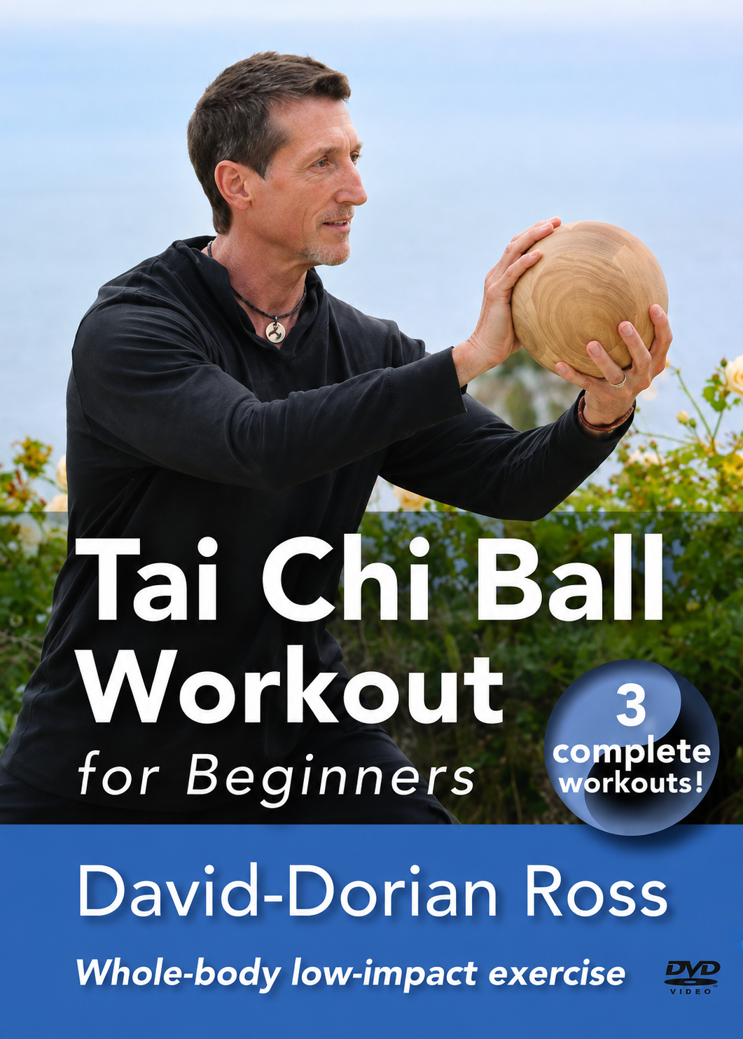 Tai Chi Ball Workout for Beginnners DVD by David Dorian Ross